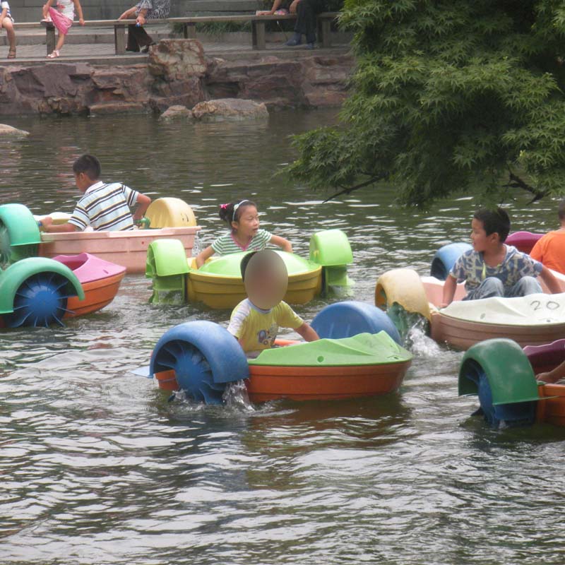 Adult Paddle Boat